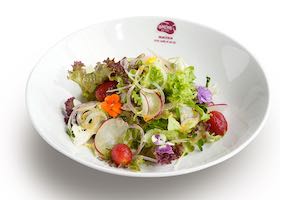 Salad rau xanh